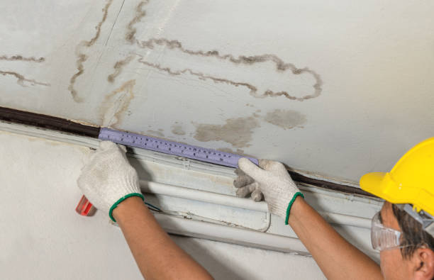 Reliable Structural Drying contractor in Gillette, NJ by Water Damage Irwin